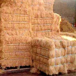 Natural Coir Fibre Natural Coir Fibre