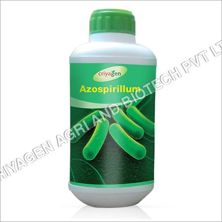Azospirillum Biofertilizer Azospirillum Biofertilizer