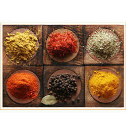 Seasoning Powder Seasoning Powder