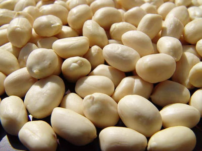 Whole Blanched Peanuts Whole Blanched Peanuts