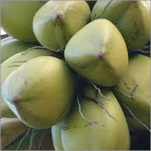 Green Coconut Green Coconut