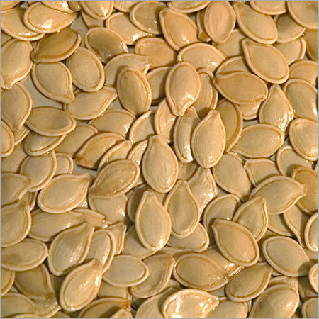 Pumpkin Seeds Pumpkin Seeds