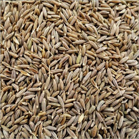 Organic Jeera Organic Jeera