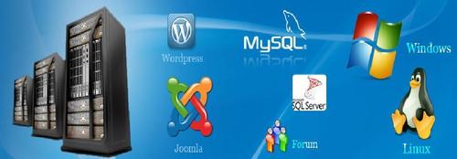 Website Hosting Website Hosting