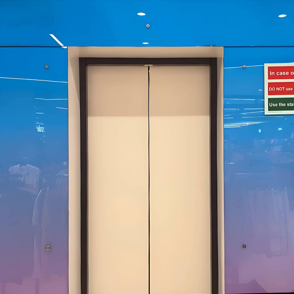 Automatic Passenger Elevator Automatic Passenger Elevator