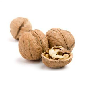 Fresh Walnuts Fresh Walnuts