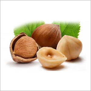 Hazel Nut Hazel Nut