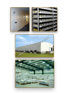 Seed Storage Seed Storage