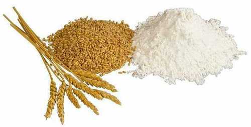 Wheat Wheat