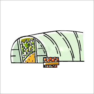 Greenhouse Covers Greenhouse Covers