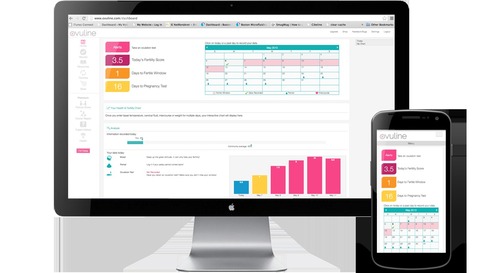 Computer Software Designing Services Computer Software Designing Services