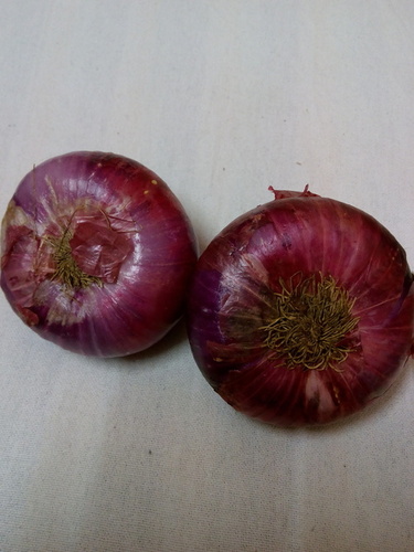 Red Onion Red Onion