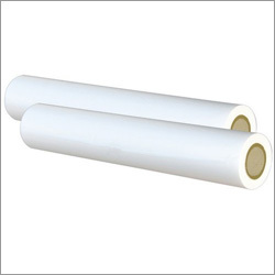 Polyester Roll Polyester Roll