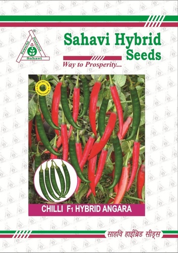 Chilli F-1 Hybrid Angara Chilli F-1 Hybrid Angara