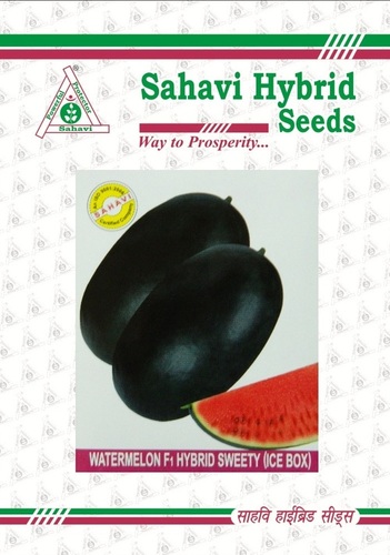 Watermelon F1 Hybrid Sweety (Ice box) Watermelon F1 Hybrid Sweety (Ice box)