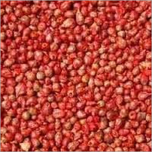 Seed Coating Polymer Seed Coating Polymer