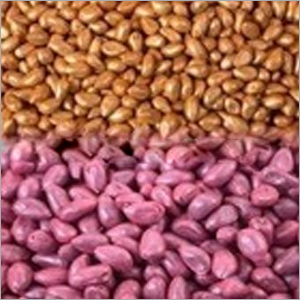Seed Coating Polymer Seed Coating Polymer