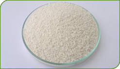 Tamsulosin MR Pellets 0.2% Tamsulosin MR Pellets 0.2%
