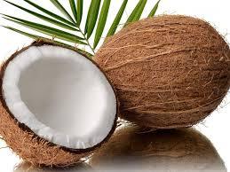 Fresh Coconut Fresh Coconut