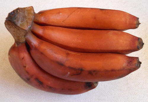 Fresh Red Banana Fresh Red Banana