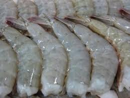 Head Less Sea Tiger Shrimps Head Less Sea Tiger Shrimps