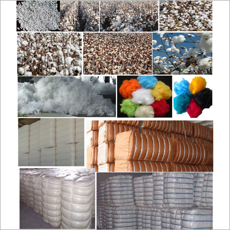 Fiber Raw Material Fiber Raw Material
