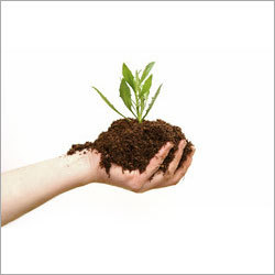 Organic Manure Organic Manure