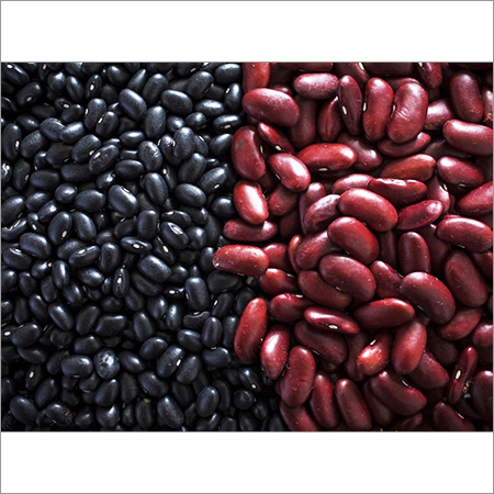 Quality Red And Black Kidney Beans Quality Red And Black Kidney Beans