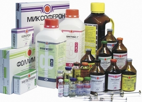 Albendazole Tablets USP 2500 mg (Vet.) Albendazole Tablets USP 2500 mg (Vet.)