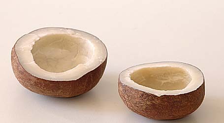 Dry Coconuts Dry Coconuts