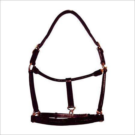 Horse Halter Horse Halter