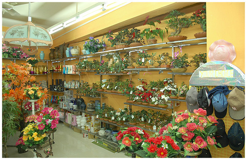 Plant Display Rack Plant Display Rack