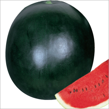 Watermelon (Black King)Seeds Watermelon (Black King)Seeds