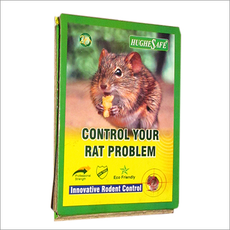Rodent Control Pest Rodent Control Pest