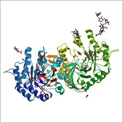 Alpha Galactosidase Alpha Galactosidase