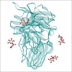 Invertase Enzyme Invertase Enzyme