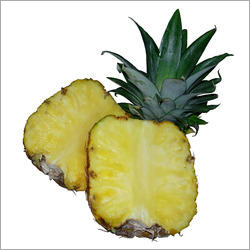 Bromelain Enzyme Bromelain Enzyme
