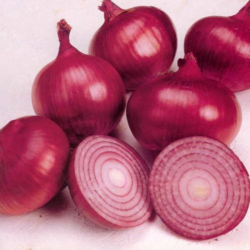 Red Onion Red Onion