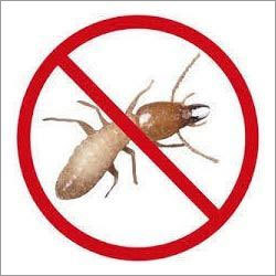 Termite Pest Control Services Termite Pest Control Services