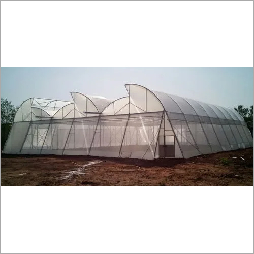 Natural Ventilated Polyhouse Natural Ventilated Polyhouse