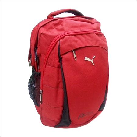 College Backpack College Backpack