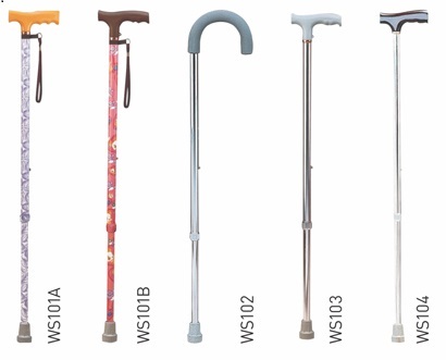 Walking Sticks Walking Sticks