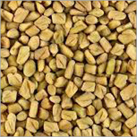 Fenugreek Seeds Fenugreek Seeds