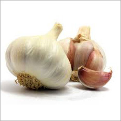 Dry Garlic Flakes Dry Garlic Flakes