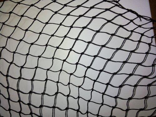 Bird Net Bird Net