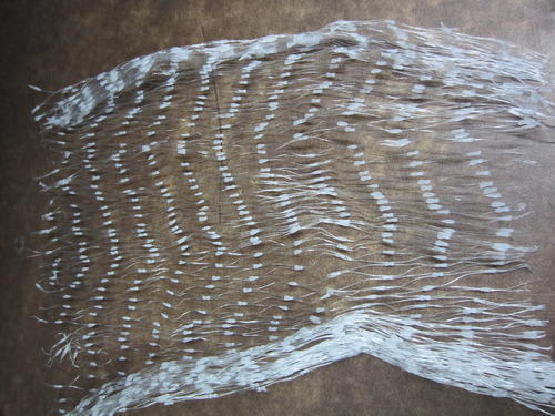 Bird Net Bird Net
