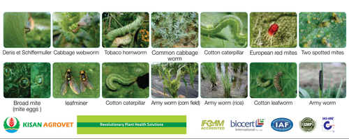 Organic Larvicide Organic Larvicide