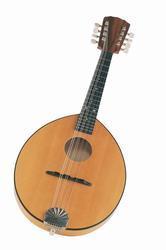 Traditional Mandolin Traditional Mandolin