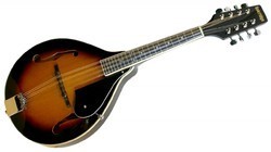 Flat Back Mandolin Flat Back Mandolin