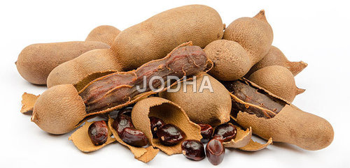 Indian Tamarind Indian Tamarind